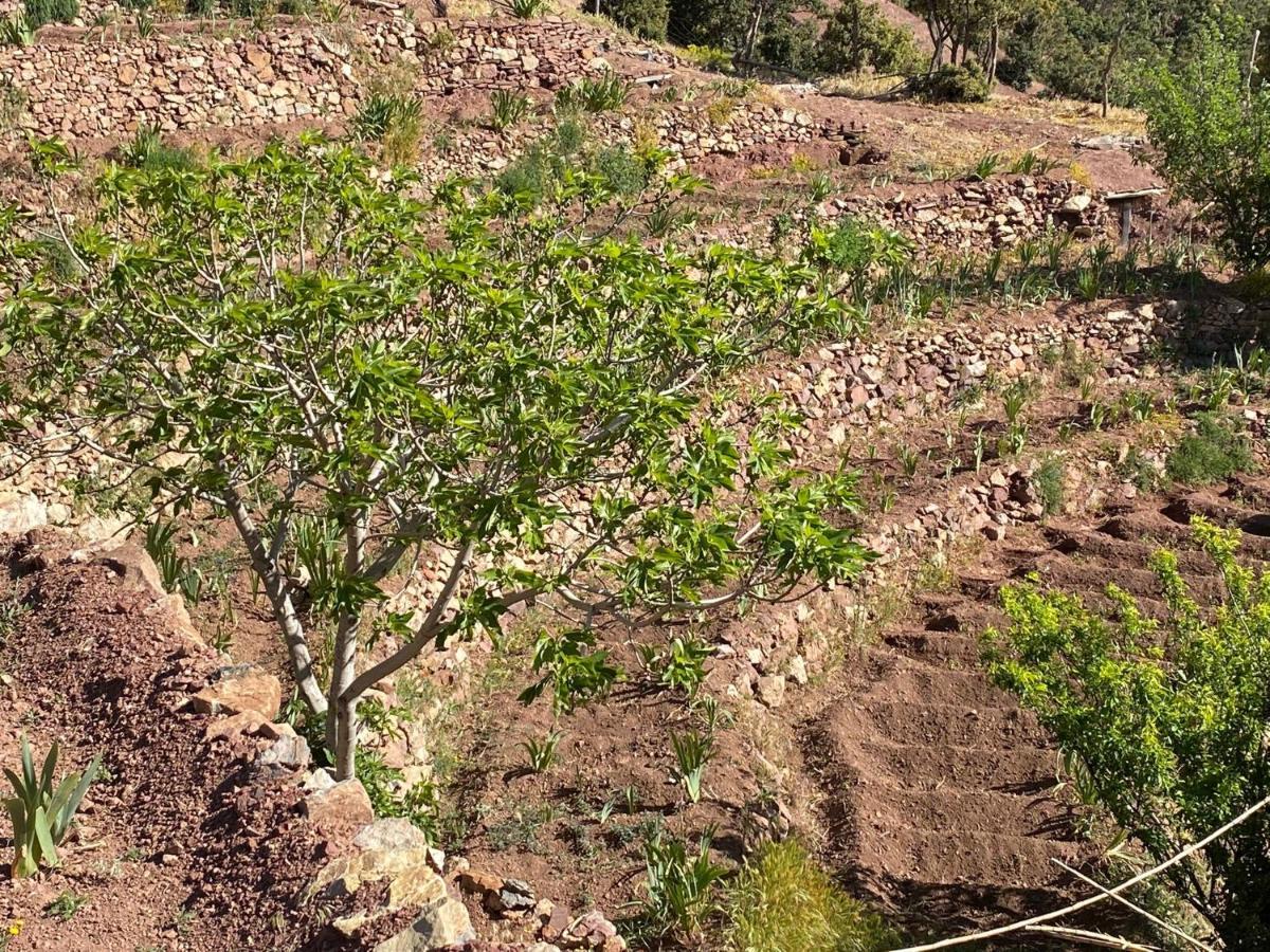 Tizintest La Haute Vue 2100M Otel Mezdiout Dış mekan fotoğraf